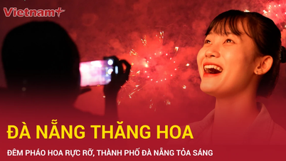 Lễ hội pháo hoa quốc tế 2025 "bùng nổ" thương hiệu du lịch Đà Nẵng