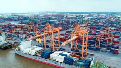 Cục trưởng Cục Xuất nhập khẩu (Bộ Công Thương) Nguyễn Anh Sơn: