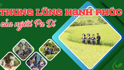 Thung lũng hạnh phúc của người Pa Dí