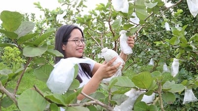 Câu chuyện làm nông nghiệp sạch của cô gái mắc bệnh hiểm nghèo