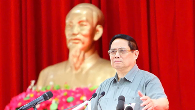 Đề án 1 triệu ha lúa chất lượng cao giúp nâng cao thương hiệu gạo Việt