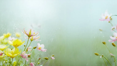 Mùa hè đọng lại…
