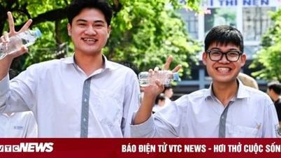5.0 IELTS có thể quy đổi thành 7 điểm, cũng có thể là 10
