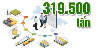 319.500 tấn - là tổng lượng nông sản xuất khẩu qua địa bàn tỉnh 6 tháng đầu năm nay