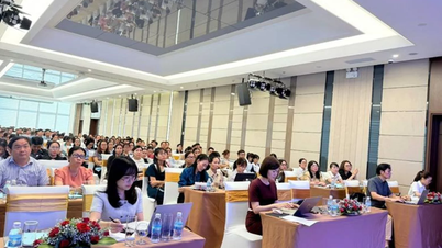 Sở Tư pháp Khánh Hòa tập huấn cho hơn 300 cán bộ, công chức làm công tác hộ tịch