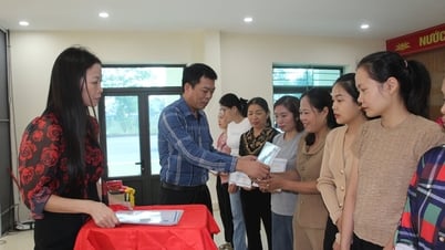 ไฮฟองมุ่งเน้นสนับสนุนความมั่นคงทางสังคมผ่านการประกันภัย