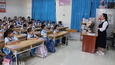 Ngành giáo dục cần làm gì trước thách thức của AI?