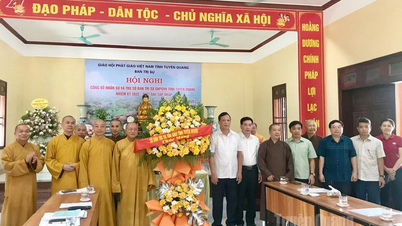 Công bố nhân sự và trụ sở Ban trị sự Giáo hội Phật giáo tỉnh, nhiệm kỳ 2022-2027 sau sáp nhập