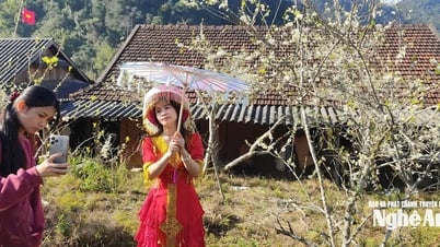 Du lịch cộng đồng rẻo cao Mường Lống ứng dụng chuyển đổi số, thích ứng thời công nghệ