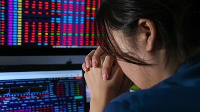 VN-Index lập đỉnh lịch sử nhưng tài khoản chứng khoán nhà đầu tư vẫn lẹt đẹt