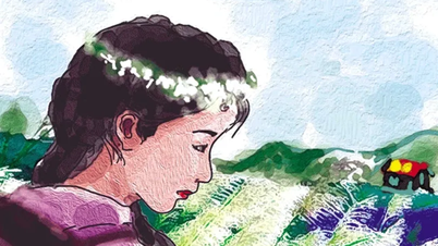 Vòng lau trắng