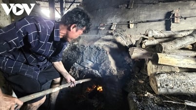 Nghề hầm than ven sông Cửa Lớn