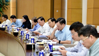 Đề xuất tăng mức phụ cấp phục vụ với bộ trưởng, bí thư tỉnh uỷ, cấp tướng