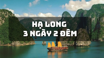 Du lịch 3N2Đ tới vùng Vịnh nổi tiếng thế giới, nơi thiên nhiên vẽ nên những tuyệt tác cảnh quan