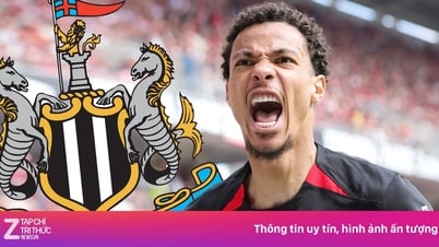 Newcastle chuẩn bị nổ 'bom tấn' đắt kỷ lục giá 100 triệu euro