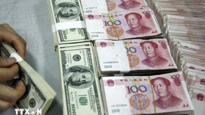 USD and RMB at commercial banks both increased