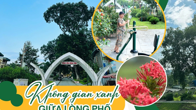 Không gian xanh giữa lòng phố