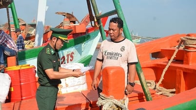 An Giang còn 277 tàu cá hết hạn đăng ký, đăng kiểm, giấy phép khai thác thủy sản