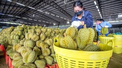 Xuất khẩu tiếp tục là động lực chính thúc đẩy tăng trưởng kinh tế