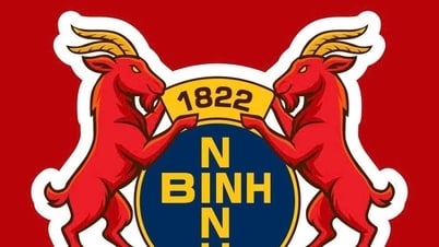VFF có động thái đặc biệt, đội Ninh Bình chính thức bước sang trang mới
