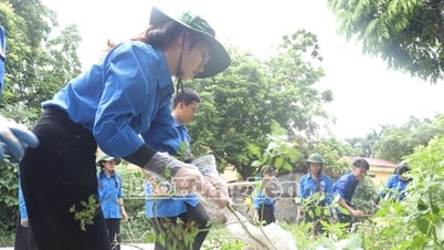 Tỉnh đoàn phát động ra quân vệ sinh môi trường