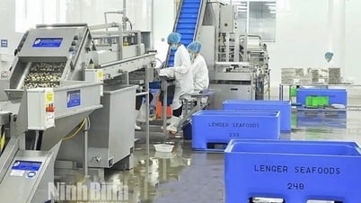 Tốc độ tăng trưởng GRDP của Ninh Bình đạt 10,46%