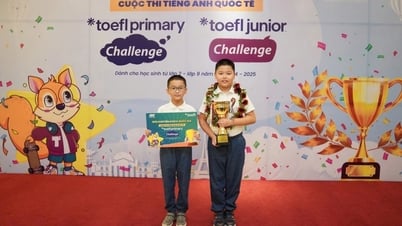 Anh em song sinh cùng giành giải quốc gia tiếng Anh TOEFL Challenge