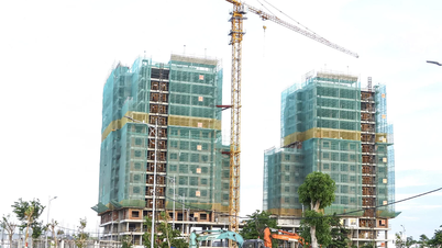 Thị trường bất động sản tiếp tục tăng trưởng