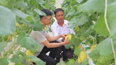 Khởi nghiệp từ nông nghiệp ứng dụng công nghệ cao