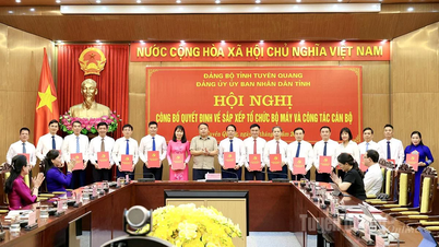 Đảng ủy UBND tỉnh công bố quyết định về sắp xếp tổ chức bộ máy và công tác cán bộ