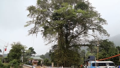 Khi tiềm năng được đánh thức