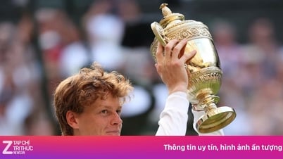 Vô địch Wimbledon, Sinner nhận số tiền thưởng kỷ lục