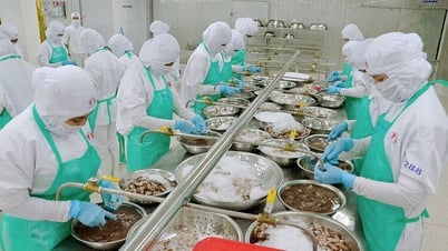 Phát triển kinh tế biển An Giang trở thành trung tâm kinh tế biển mạnh của quốc gia vào năm 2030