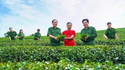 Sáng tinh thần xung kích và kiến thiết trong lực lượng Thanh niên xung phong Nghệ An
