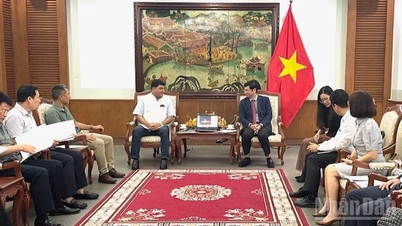 Tăng cường quảng bá hình ảnh Việt Nam qua điện ảnh Ấn Độ