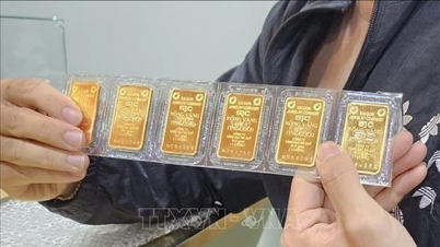 Giá vàng trong nước giữ mức 121,5 triệu đồng/lượng