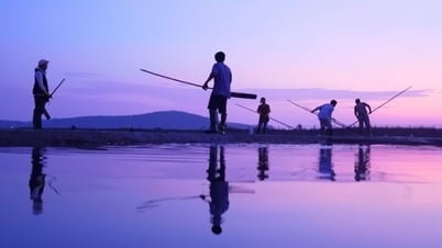 Cánh đồng muối Sa Huỳnh đẹp ngỡ ngàng trong “Gia đình Haha”