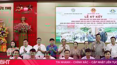 Tiếp tục duy trì liên kết sản xuất nông nghiệp tuần hoàn, hữu cơ Quế Lâm
