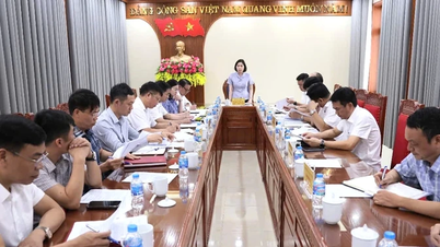 Kiểm tra tiến độ dự án Đường dây 500kV Lào Cai - Vĩnh Yên