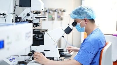 PIEZO ICSI: Công nghệ tạo phôi tiên tiến, nâng cao tỷ lệ thành công trong IVF