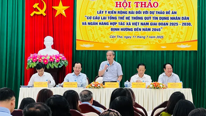 Tái cơ cấu hệ thống Quỹ tín dụng nhân dân và Ngân hàng Hợp tác xã Việt Nam giai đoạn 2025-2030