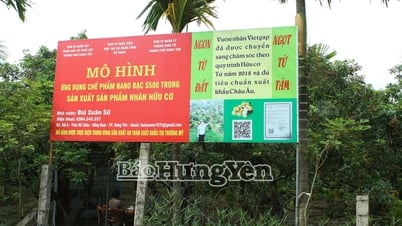 Anh nông dân đam mê làm nông nghiệp sạch