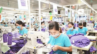 Chuyển đổi xanh: