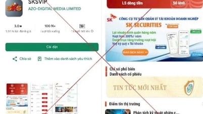 Mất hơn 3,5 tỉ đồng khi giao dịch trên ứng dụng chứng khoán giả mạo SKYVIP