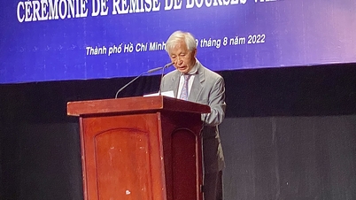 Giáo sư Trần Thanh Vân chia sẻ về 'một năm đặc biệt của khoa học cơ bản'