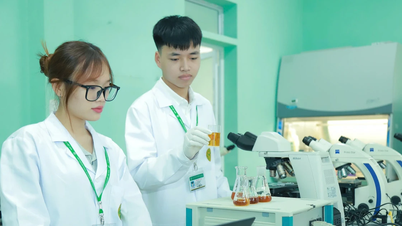 Gỡ điểm nghẽn mô hình đại học hai cấp