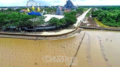 Tái sinh rừng phòng hộ