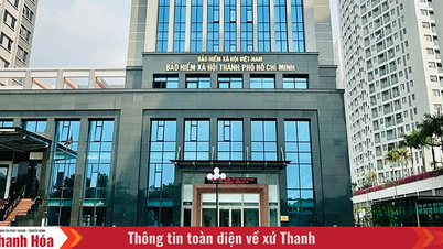 Bảo hiểm xã hội khu vực đổi tên thành Bảo hiểm xã hội cấp tỉnh