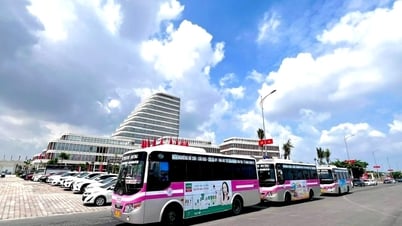 Tuyến xe buýt số 03 từ Trung tâm Chính trị - Hành chính đi Đồ Sơn và ngược lại chính thức vận hành