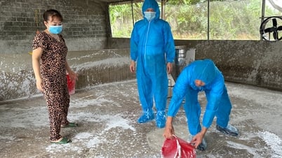 Khoanh vùng, dập dịch, bảo vệ đàn vật nuôi